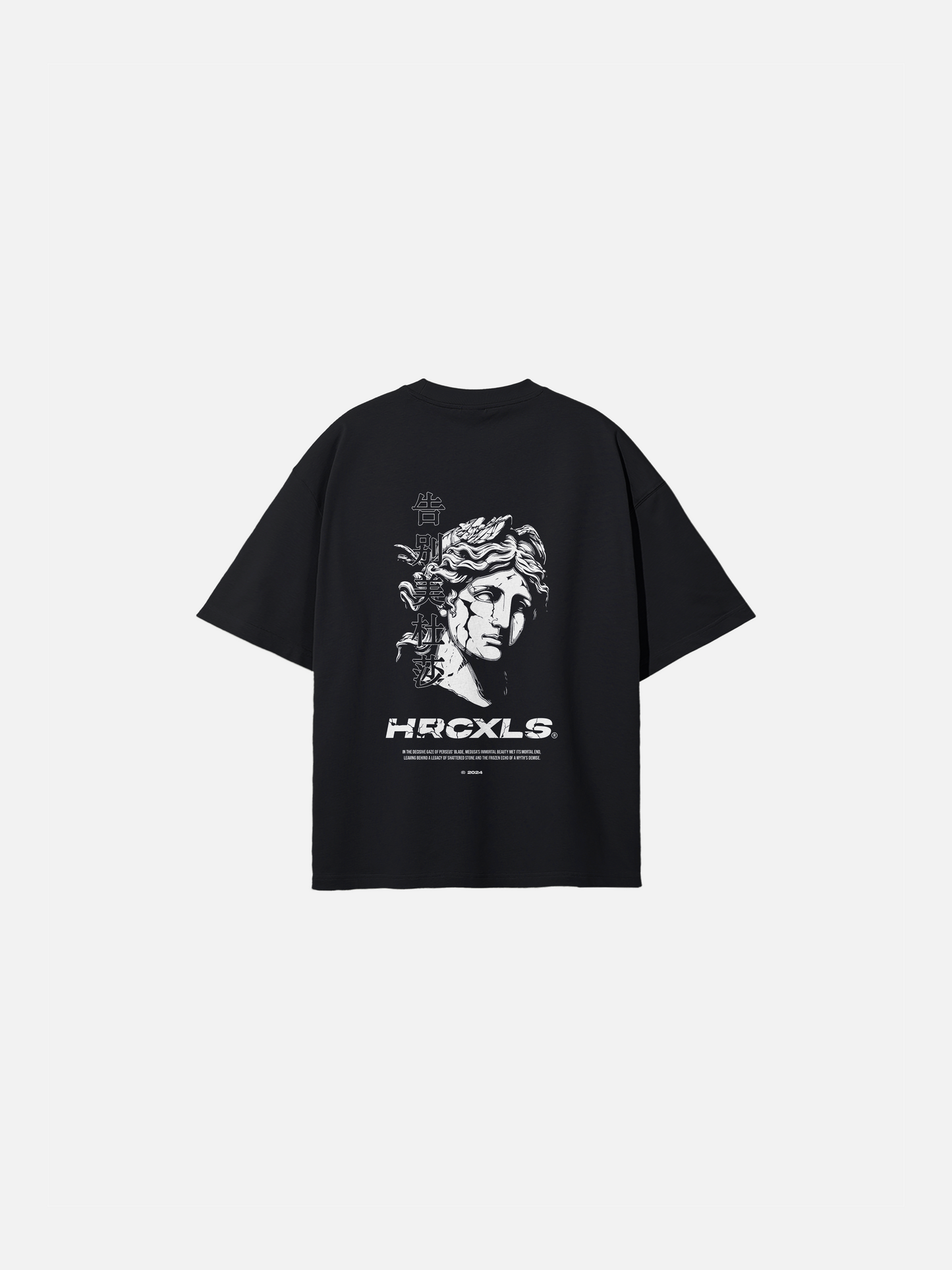 HERCXLES: Medusa Oversized T-Shirt - Black front flat lay