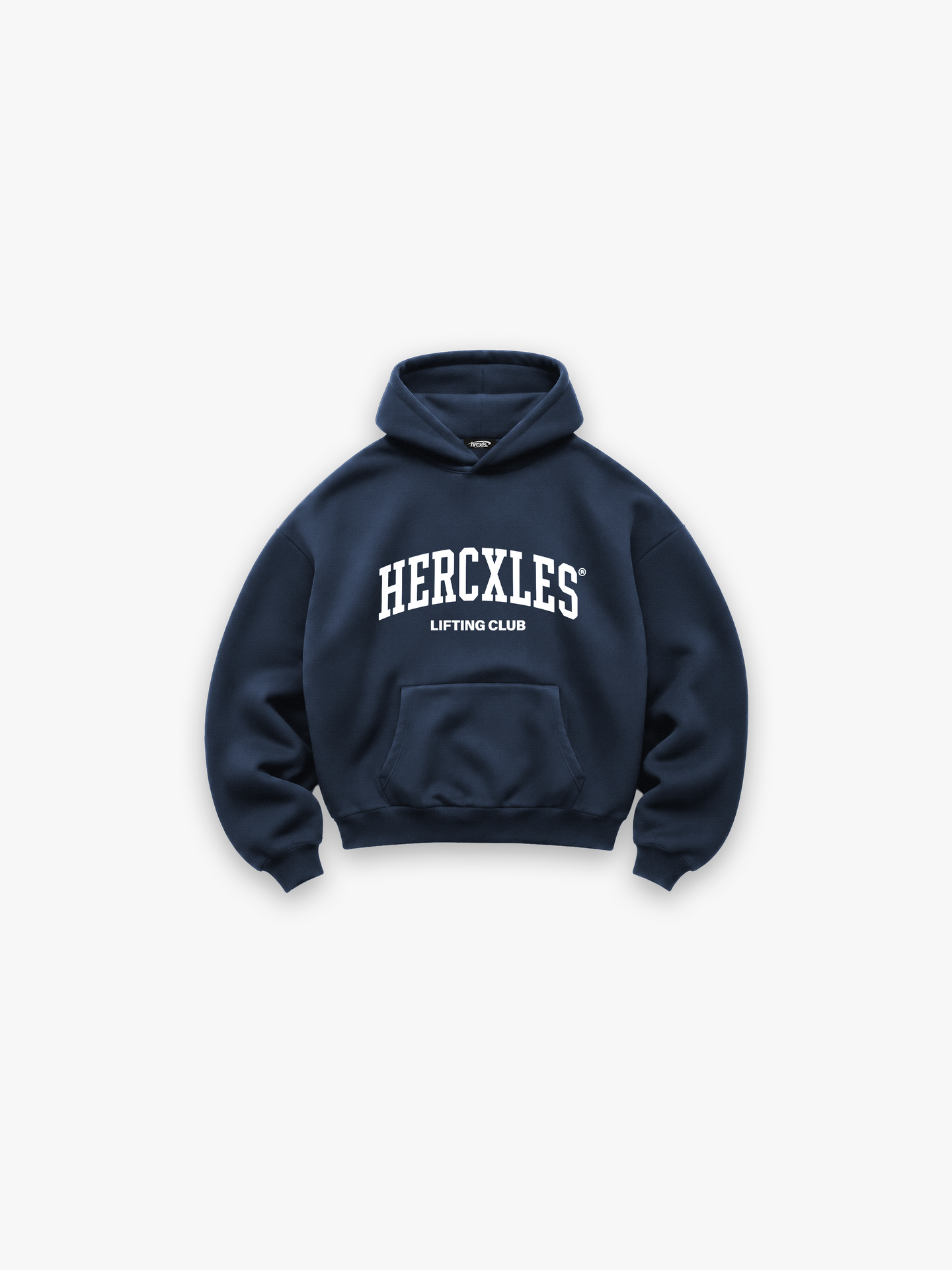 Unisex Oversized Heavyweight Hoodie