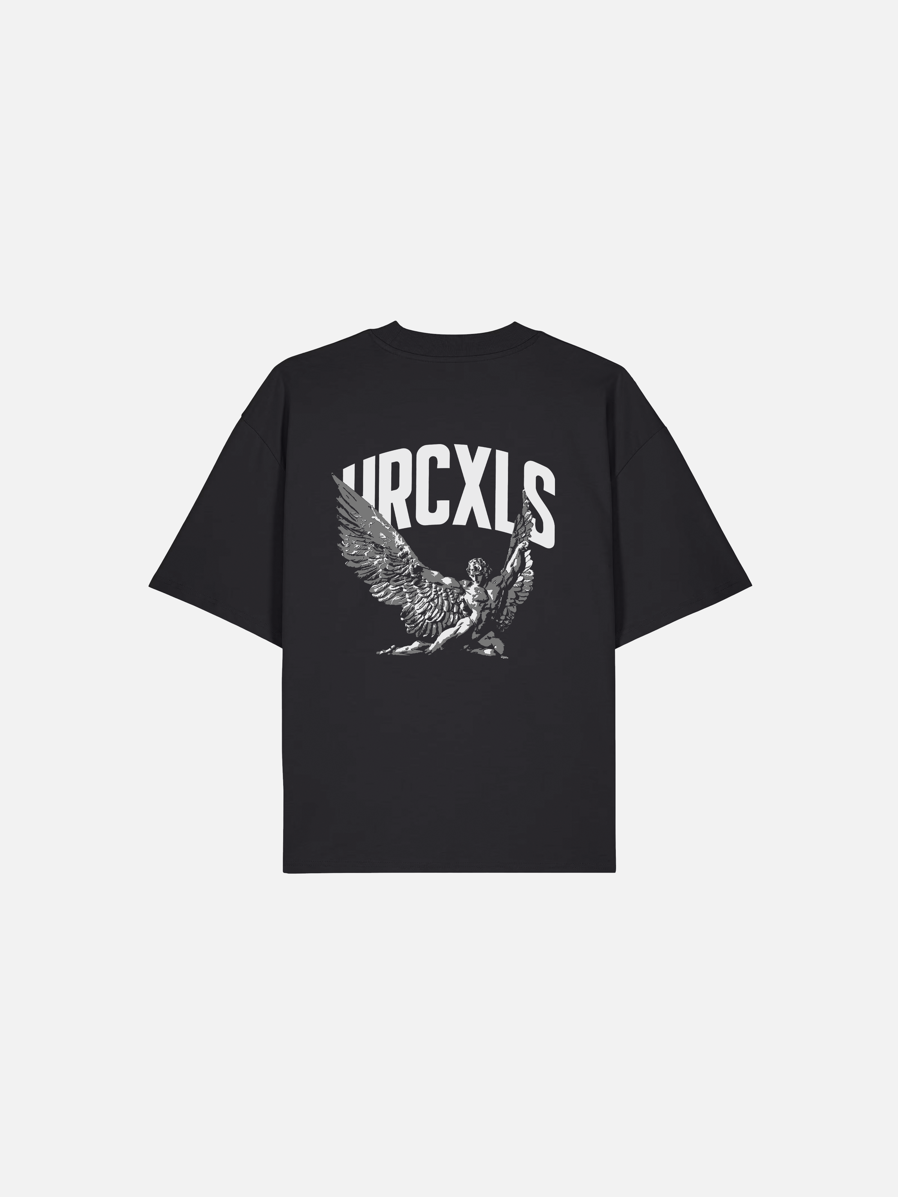 Icarus Oversized T-shirt
