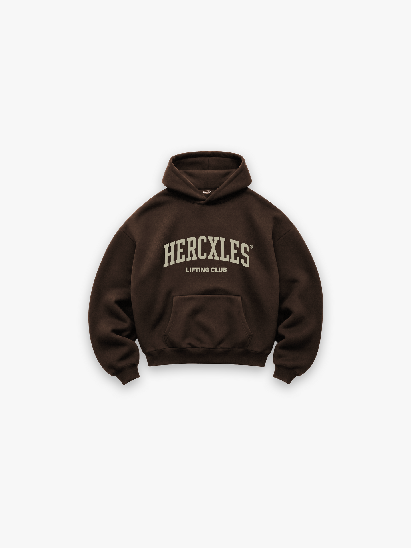Unisex Oversized Heavyweight Hoodie