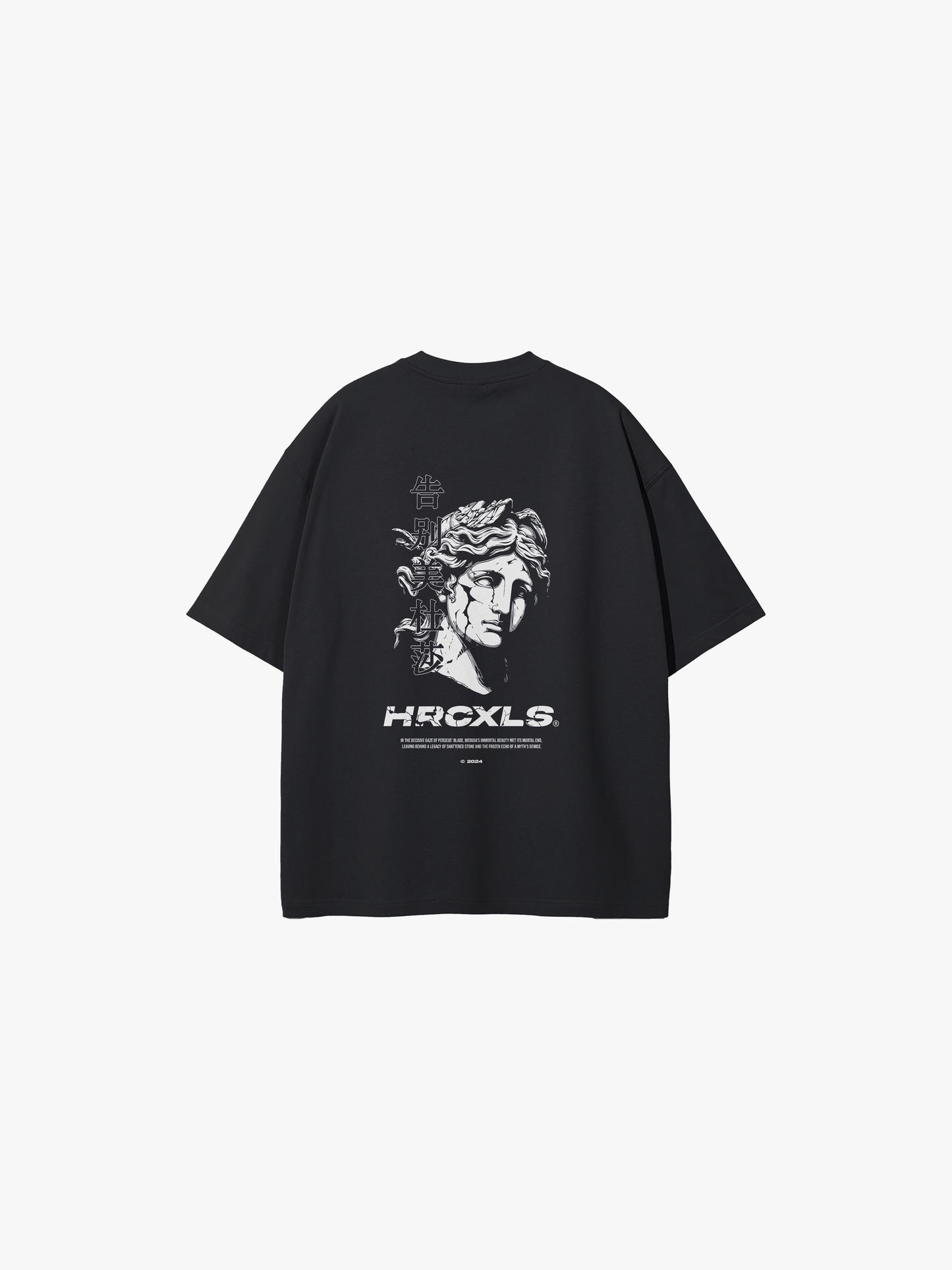 HERCXLES: Medusa Oversized T-Shirt - Black back flat lay