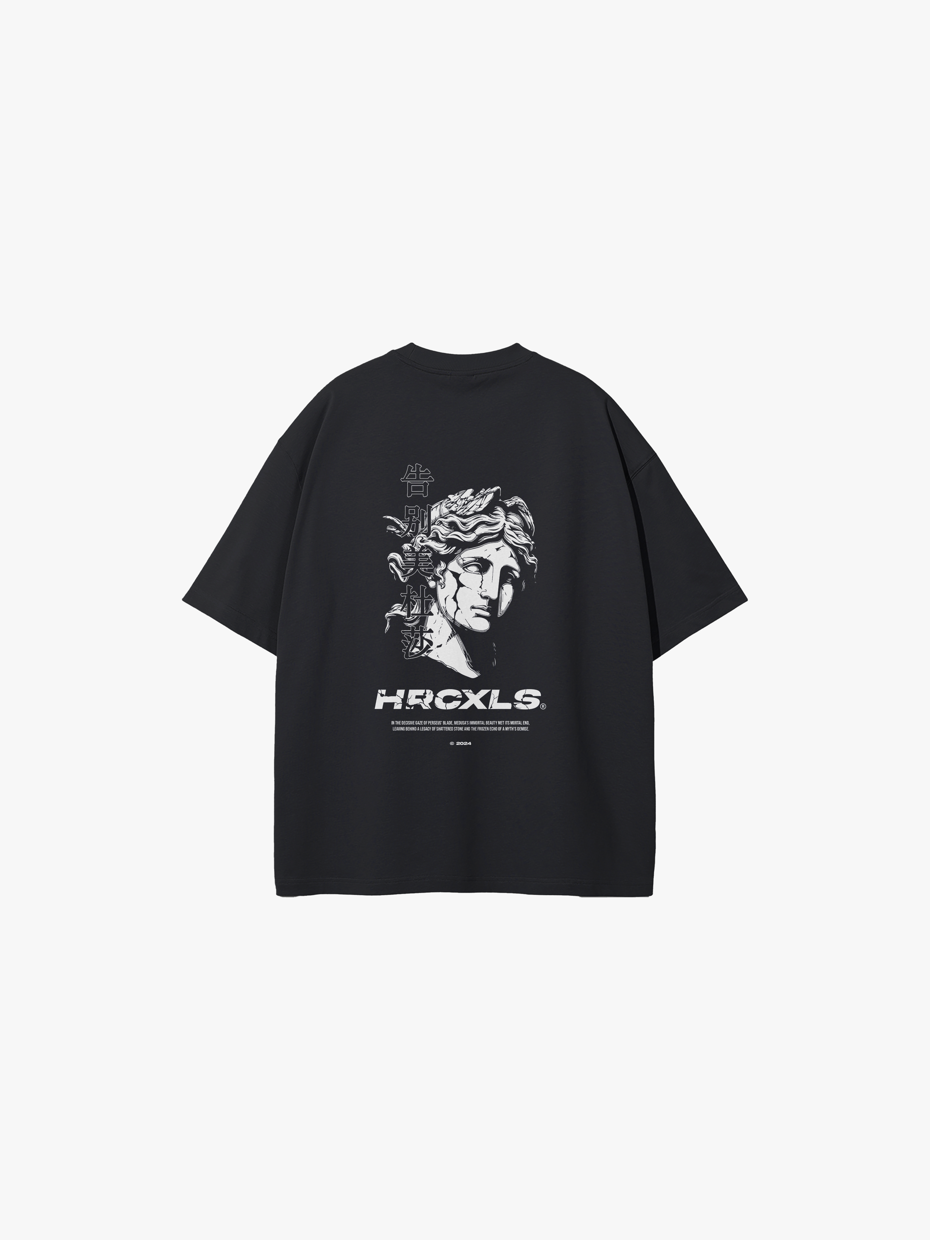 HERCXLES: Medusa Oversized T-Shirt - Black back flat lay