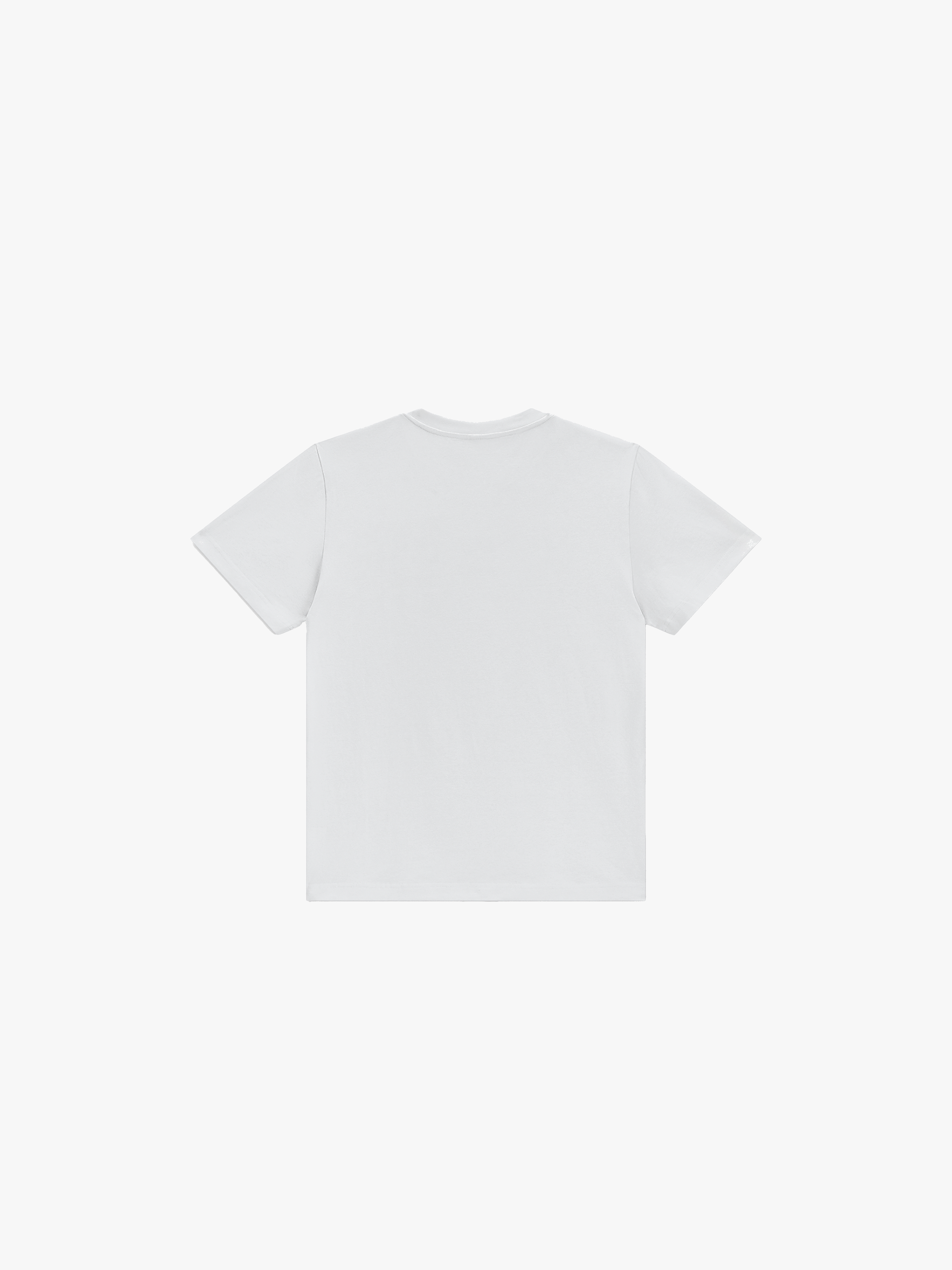 Sport Fitted T-shirt